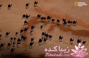 یه چیز جالب