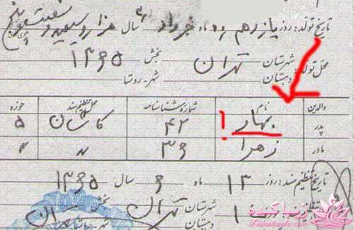 نکته عکس رو گرفتی؟؟؟؟