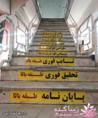 ترول های خنده دار | ترول های جدید 