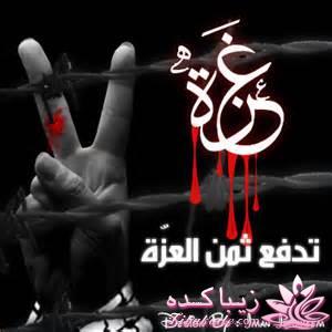 »»»»»»»»» حامیــــان غـــــــــــــــزه ««««««««