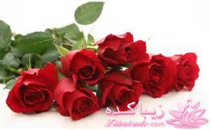 هر کی امروز تولدش بیاد تو ....