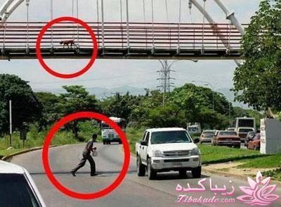 مجله سرگرمی زیباکده