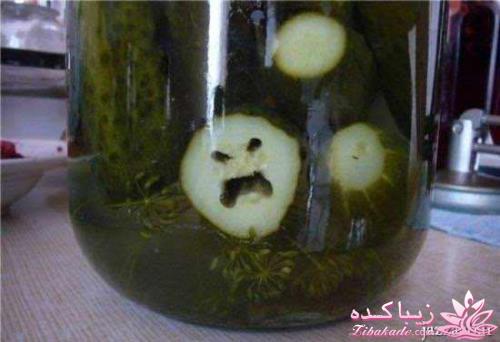 مجله سرگرمی زیباکده