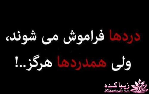 جملات ناب.............................نکات شیرین