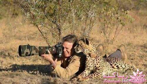 مجله سرگرمی زیباکده