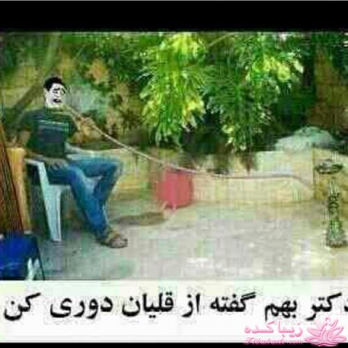 ترول های خنده دار | ترول های جدید 