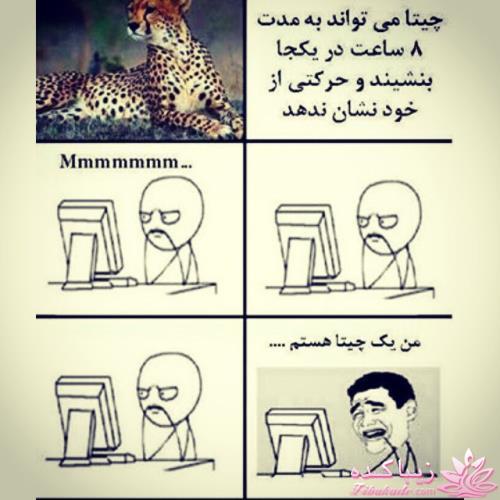 ترول های خنده دار | ترول های جدید 