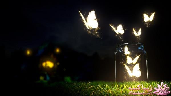 یک فنجان شعر