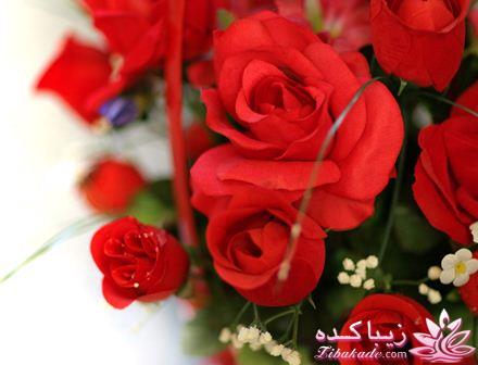 هر کی امروز تولدش بیاد تو ....