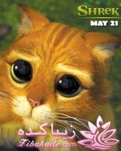 عکس بازیگراااااا....دوس داری بیاااااا