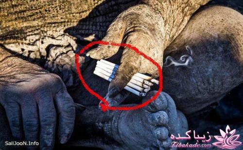 حاج عمو مردی که 60 سال است حمام نرفته