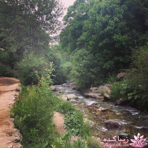 .:آلبوم عکسهای خودگرفته ما:.