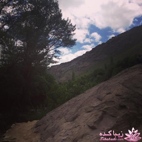 .:آلبوم عکسهای خودگرفته ما:.