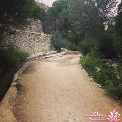 .:آلبوم عکسهای خودگرفته ما:.