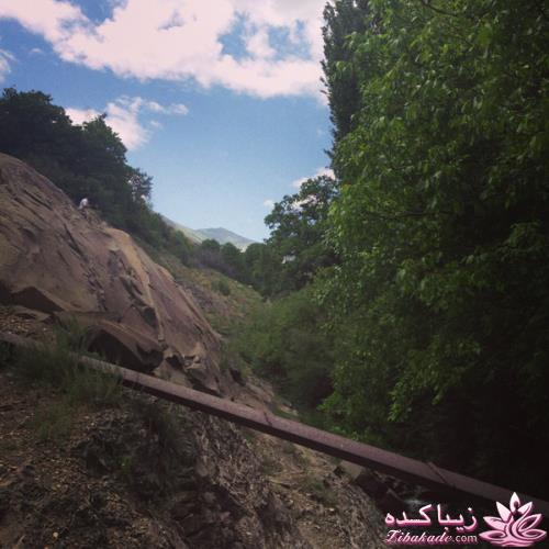 .:آلبوم عکسهای خودگرفته ما:.