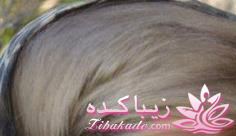 رنگ مو، آموزش ترکیب رنگ مو