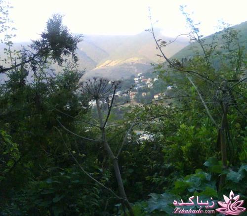 عکـــــــــــــــــس های گرفته شده در سفـــــــر