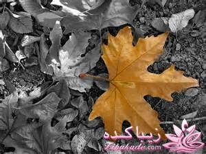 رنگ مو، آموزش ترکیب رنگ مو