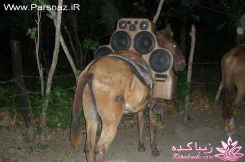 مجله سرگرمی زیباکده