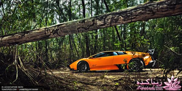 ما پسرهای باحال!