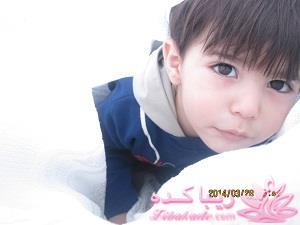 چگونگی درج عکس در پست ها 