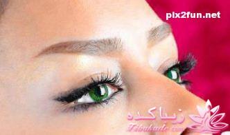 انواع مدل ابرو 