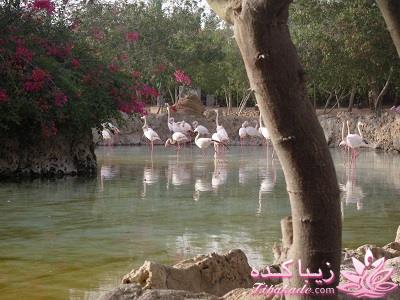 .:آلبوم عکسهای خودگرفته ما:.