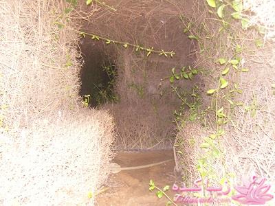 .:آلبوم عکسهای خودگرفته ما:.