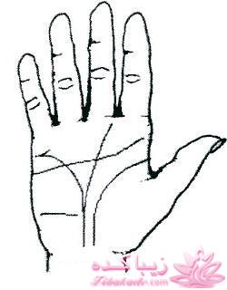 چهره خوانی وتشخیص چهره افراد