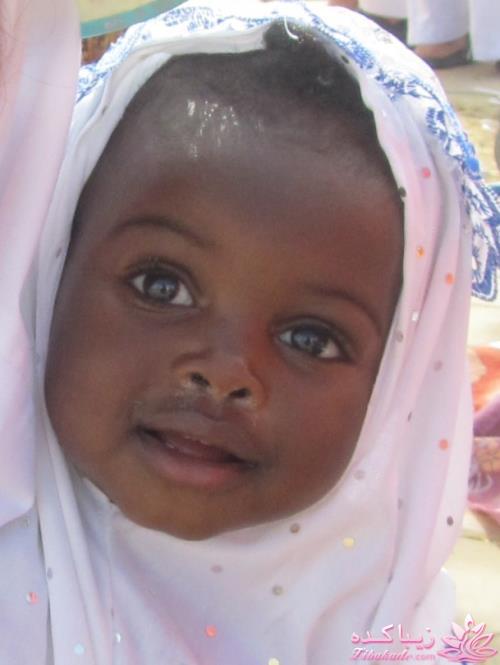 مسابقه عکاسی زیباکده ای مورد حمایت فروشگاه پانوراما**ویژه دریافت عکس**