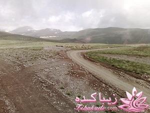 عکـــــــــــــــــس های گرفته شده در سفـــــــر