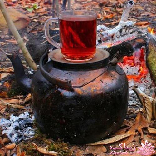 كافه گفت وگو ...