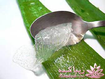 مراقبت از پوست