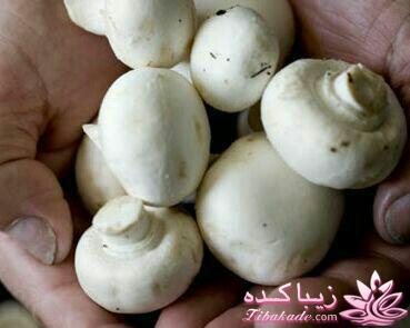 لاغری و تناسب اندام