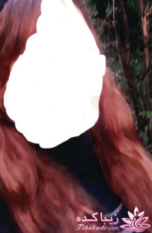 رنگ مو، آموزش ترکیب رنگ مو