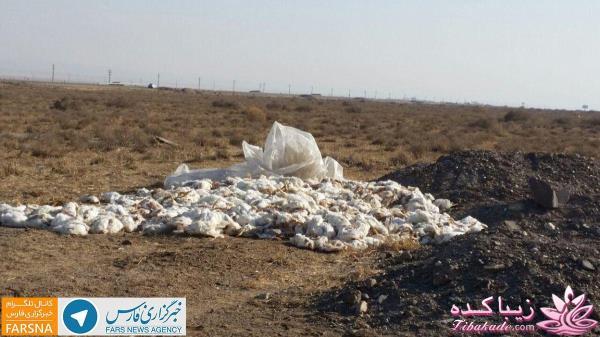 تیتر اخبار فوری