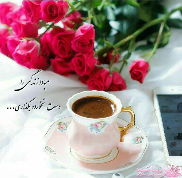كافه گفت وگو ...