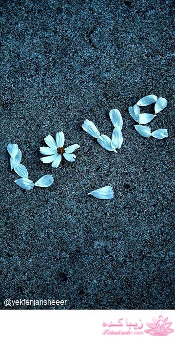 انواع لوگو و والپیپر برای پروفایل