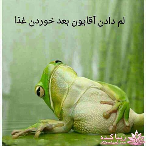 اینـــــا (خانم ها) وووووووو اونـــــــا (آقایون) ------"شوخی و خنده"