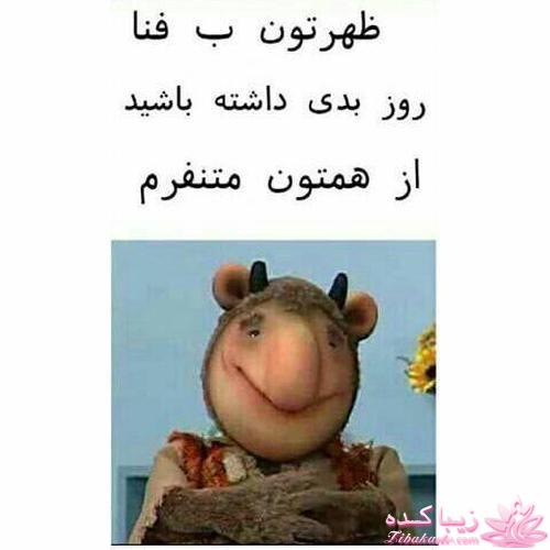 كافه گفت وگو ...