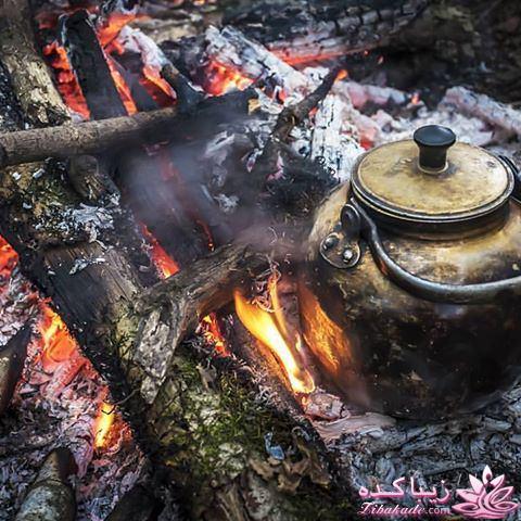 كافه گفت وگو ...