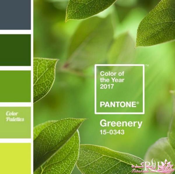 رنگ سال 2017