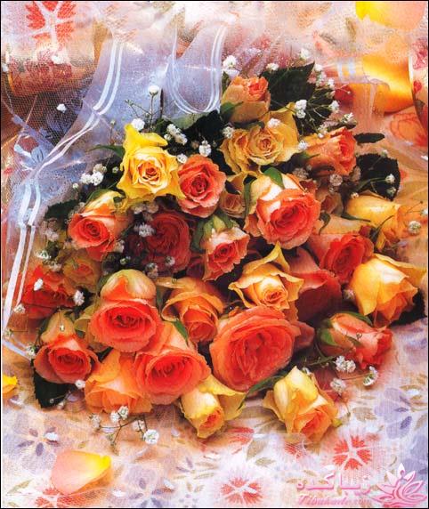 روز مهنـــــــــدس مبارک