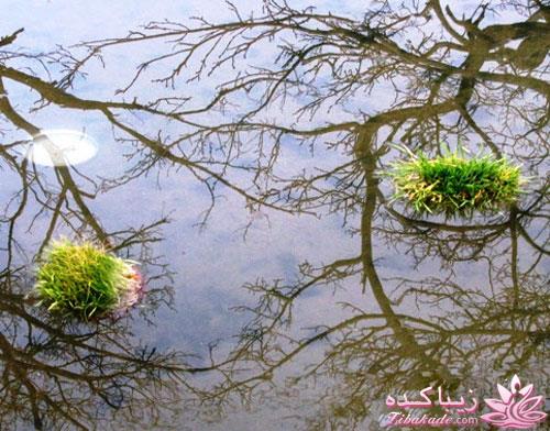 سیزده‌به‌در