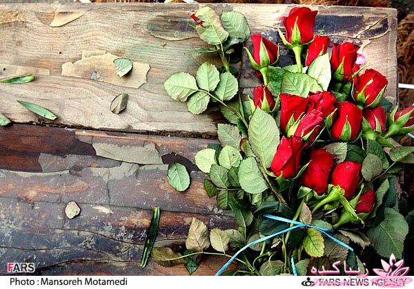 تصاویر عیدانه