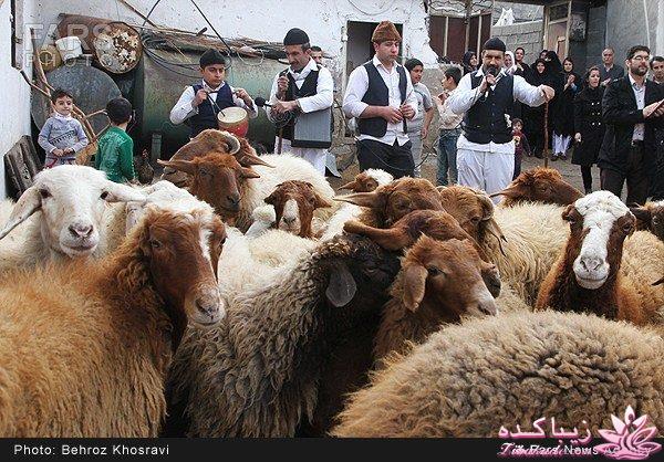 آیئن سنتی نوروز خوانی/ گزارش تصویری