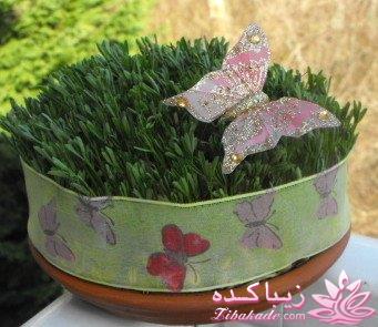 سبزه عید را خودتان سبز کنید !