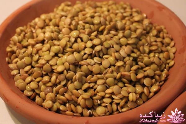 سبزه عید را خودتان سبز کنید !