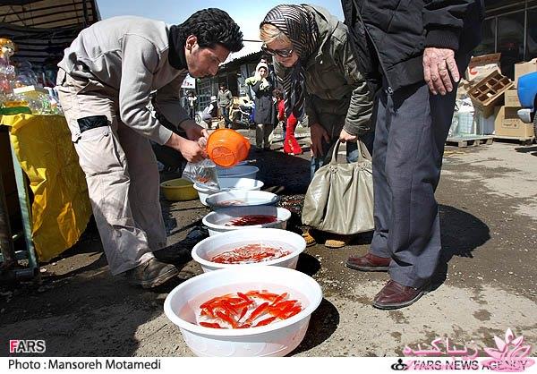 تصاویر عیدانه