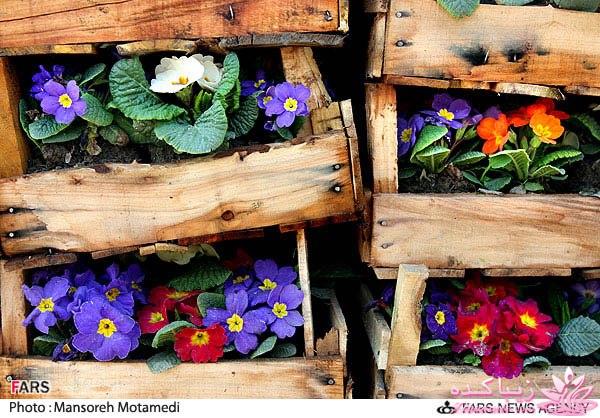 نوروز - اولین روز سال خورشیدی ایرانی